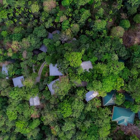 The Hive, Wayanad Otel Dış mekan fotoğraf