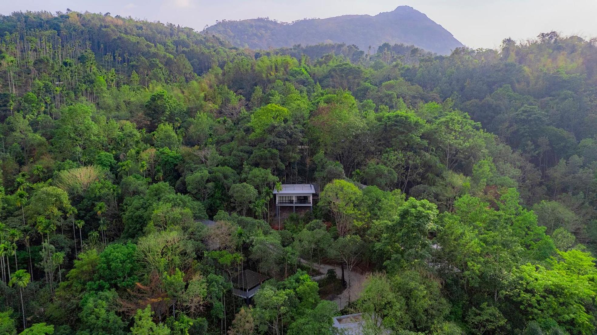 The Hive, Wayanad Otel Dış mekan fotoğraf