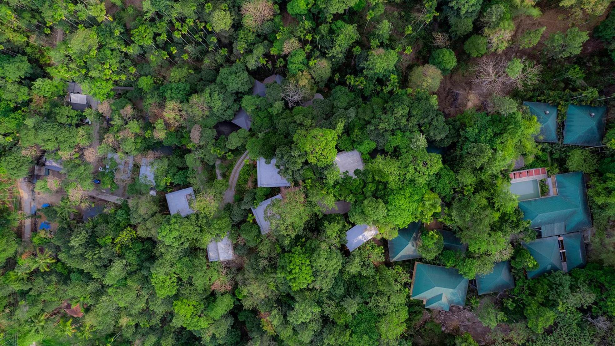 The Hive, Wayanad Otel Dış mekan fotoğraf