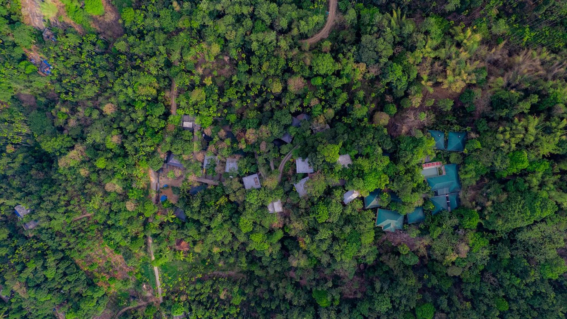 The Hive, Wayanad Otel Dış mekan fotoğraf