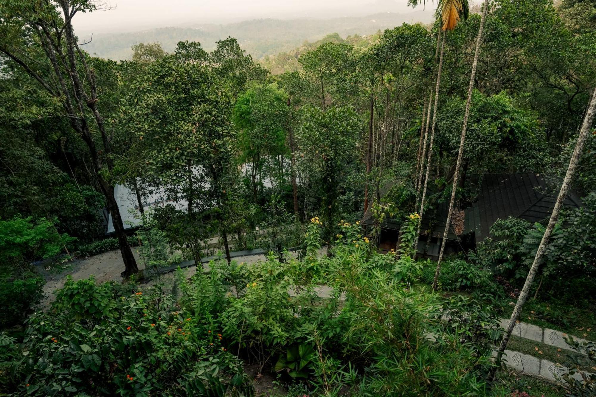 The Hive, Wayanad Otel Dış mekan fotoğraf