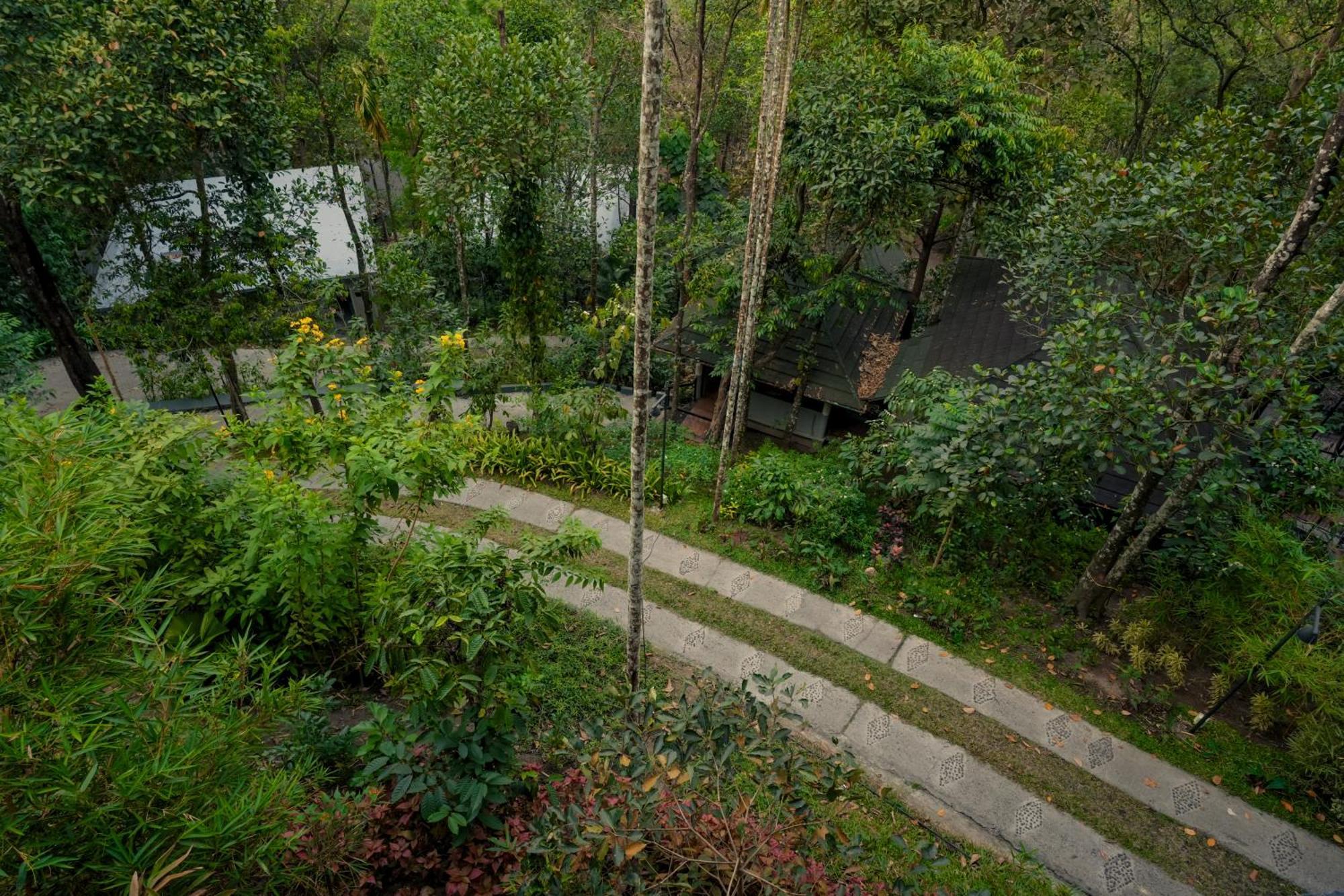 The Hive, Wayanad Otel Dış mekan fotoğraf