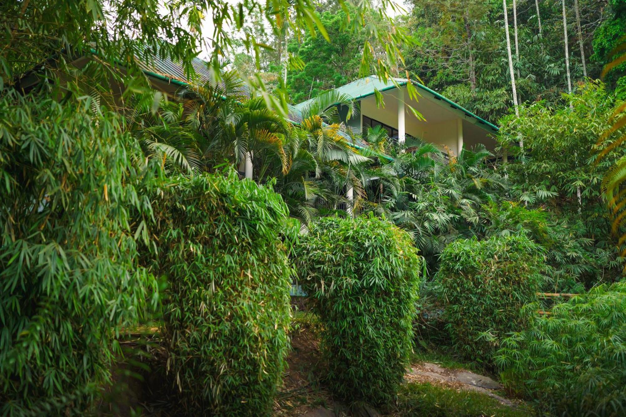 The Hive, Wayanad Otel Dış mekan fotoğraf